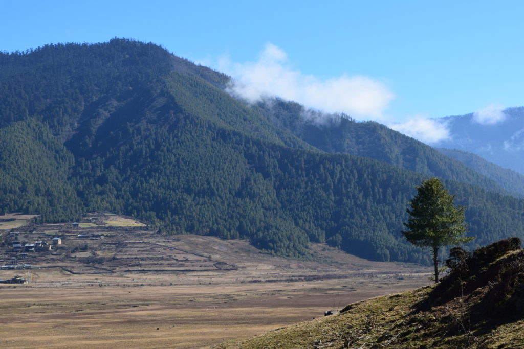 Why Should You Visit Punakha Valley In Your Bhutan Trip? - Travel Diary