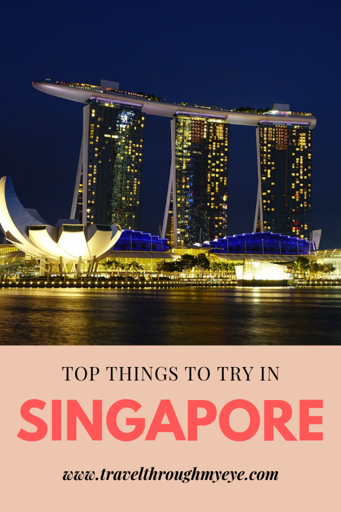 Things to try in Singapore - Travel Diary